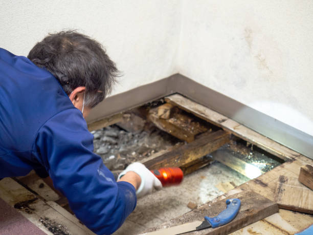 Best Commercial Mold Inspection  in Harmony Grove, CA